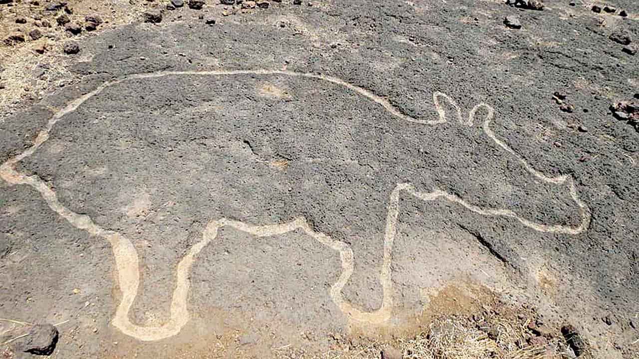 Rhino petroglyph