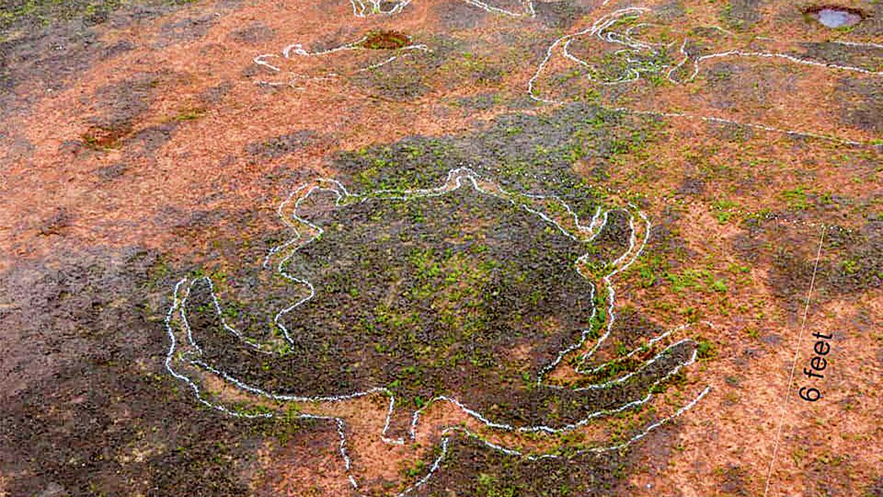 Tortoise petroglyph, Kapadgav. Pic/Dhananjay Marathe