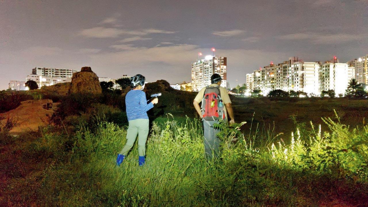 Recording frog sounds in the open