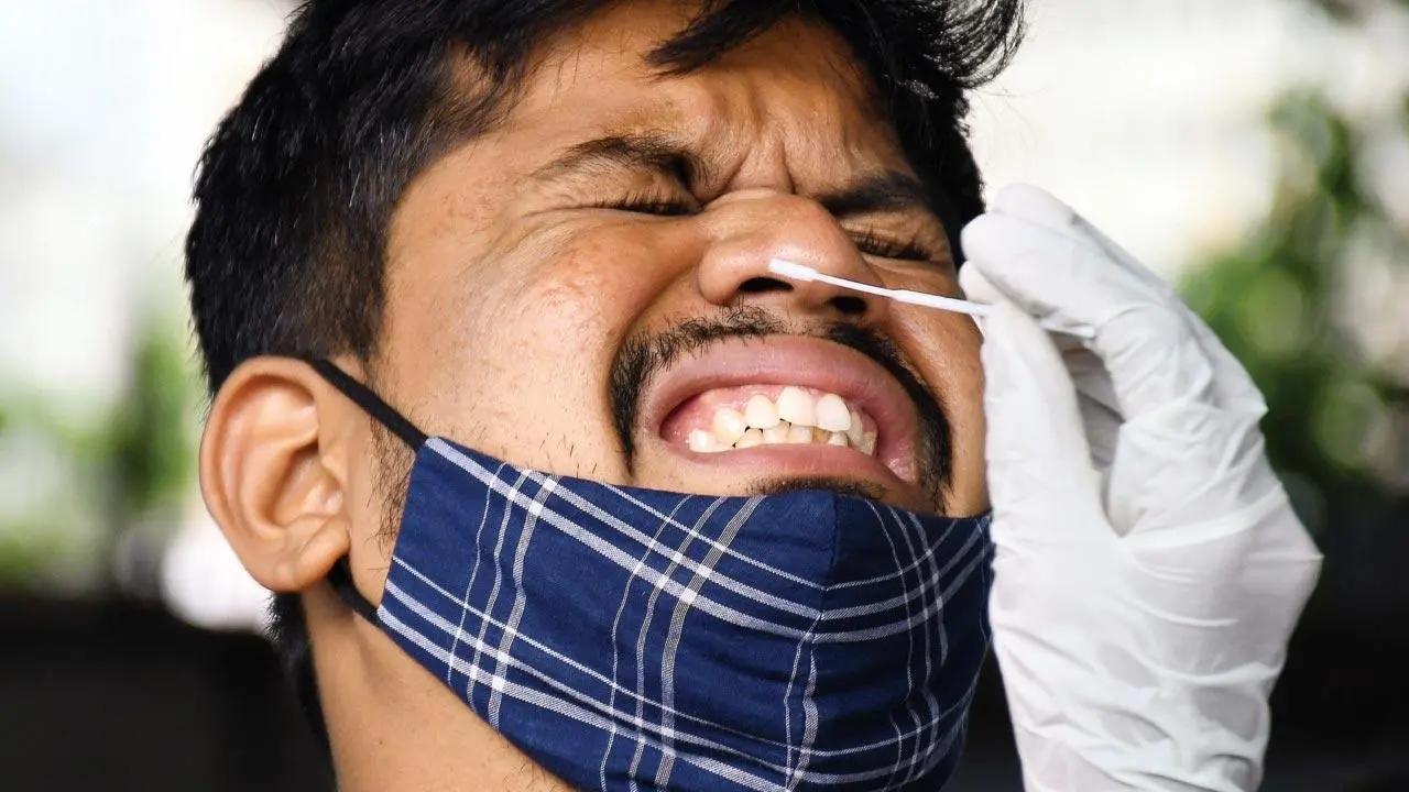 Mumbai logs 51 new Covid-19 cases; no fresh fatalities
