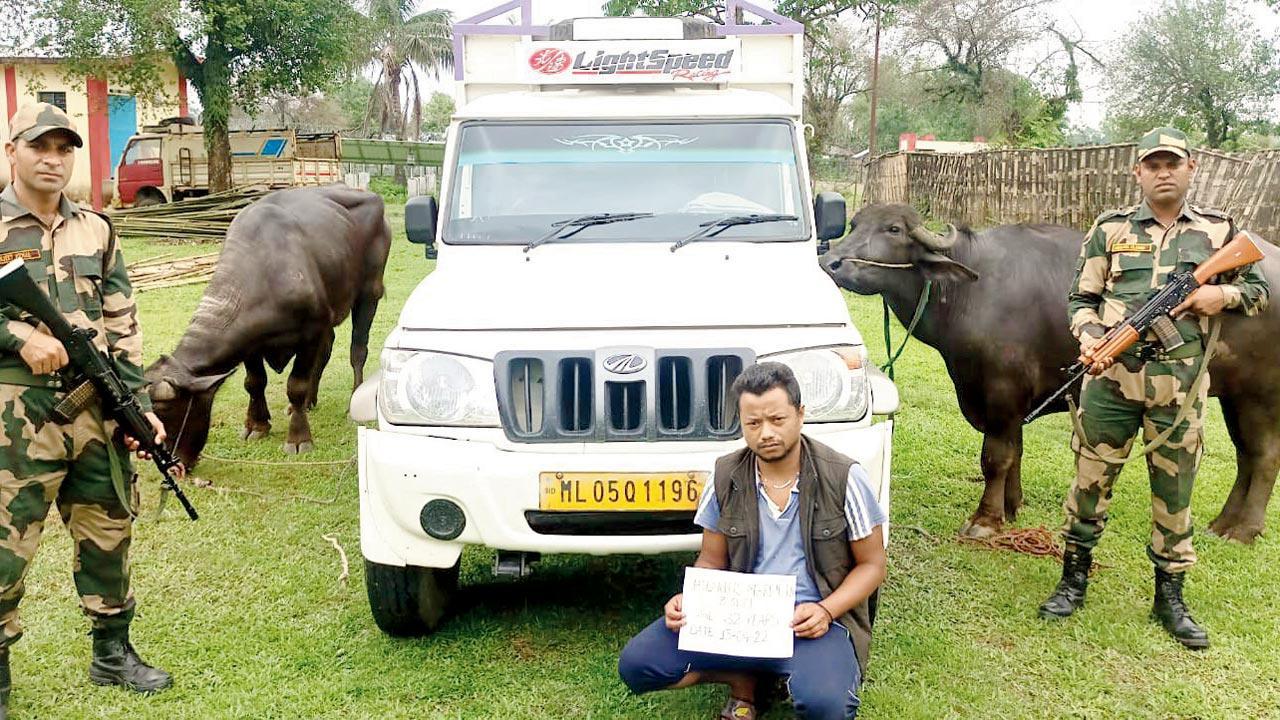 Bangladeshi boy enters India to buy chocolate, held