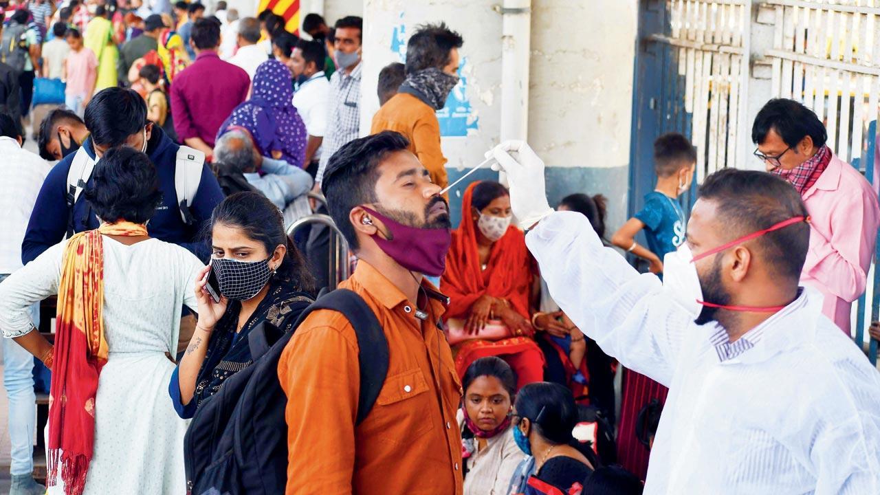 XE strain in Mumbai or not? BMC to ask Centre