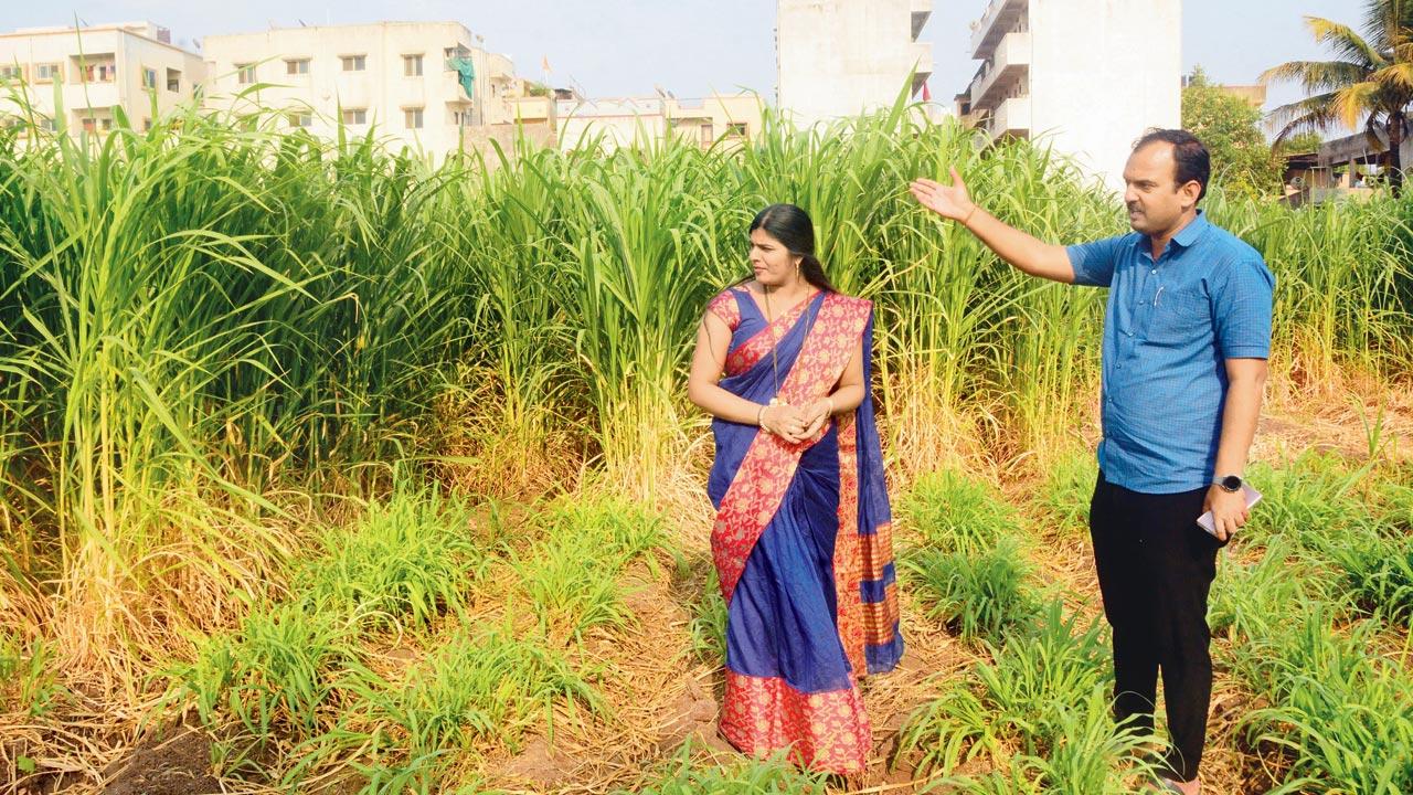 Swapnil Kalokhe, former sarpanch of the erstwhile Dehu Gram Panchayat, and his wife Rasika Swapnil Kalokhe, who has been elected as the new Nagar Upadhyaksha at their farm in Dehugaon. Kalokhe says that they haven’t stopped people from consuming meat or fish. “It’s not our place to do that. In fact, we have a decent Muslim population here and we don’t dictate what they eat. We are a peace-loving community”