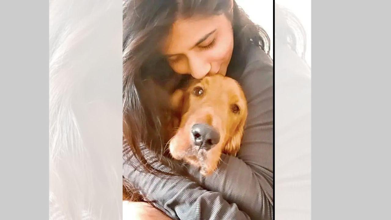 Thane: 22-year-old woman accuses veterinarian of killing her dog; more  complaints emerge