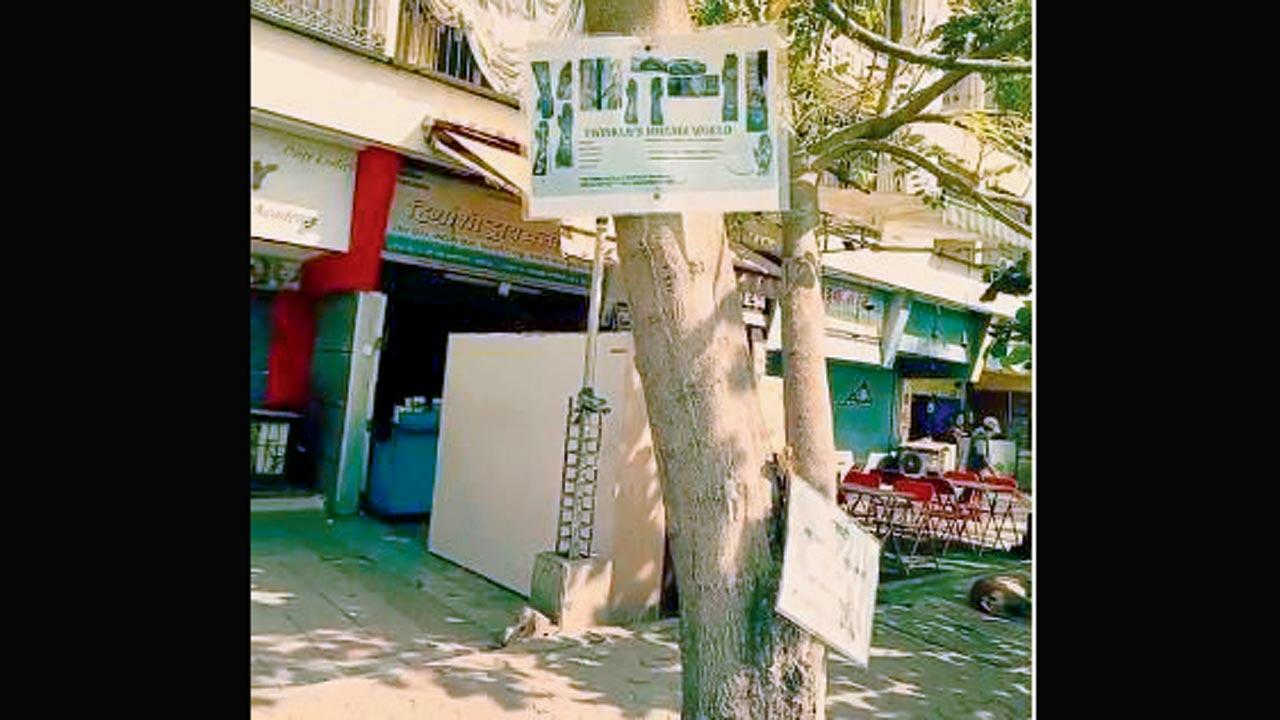 Trees are often used to nail posters