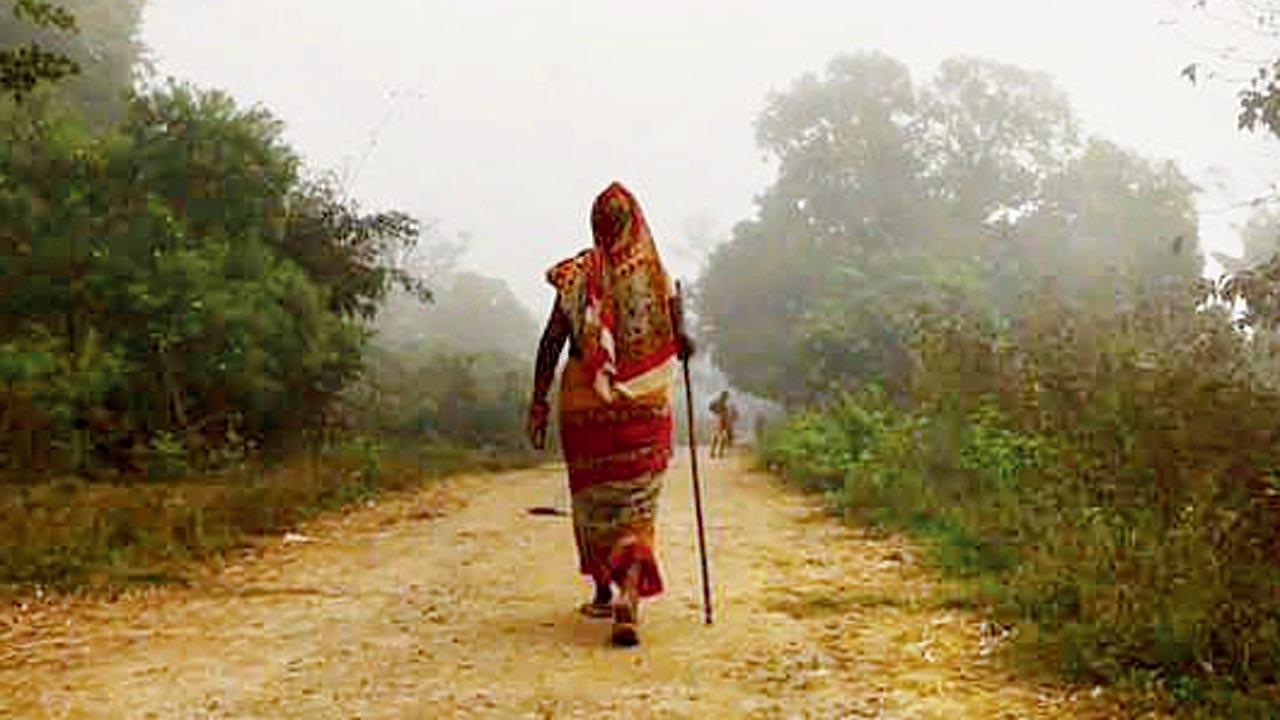 A moment from Thengapalli. Pic/YouTube