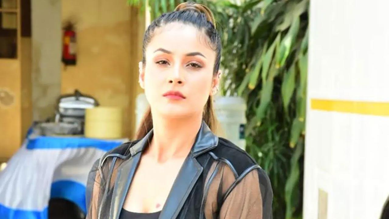 Shehnaaz Gill aces white shirt and blue jeans look