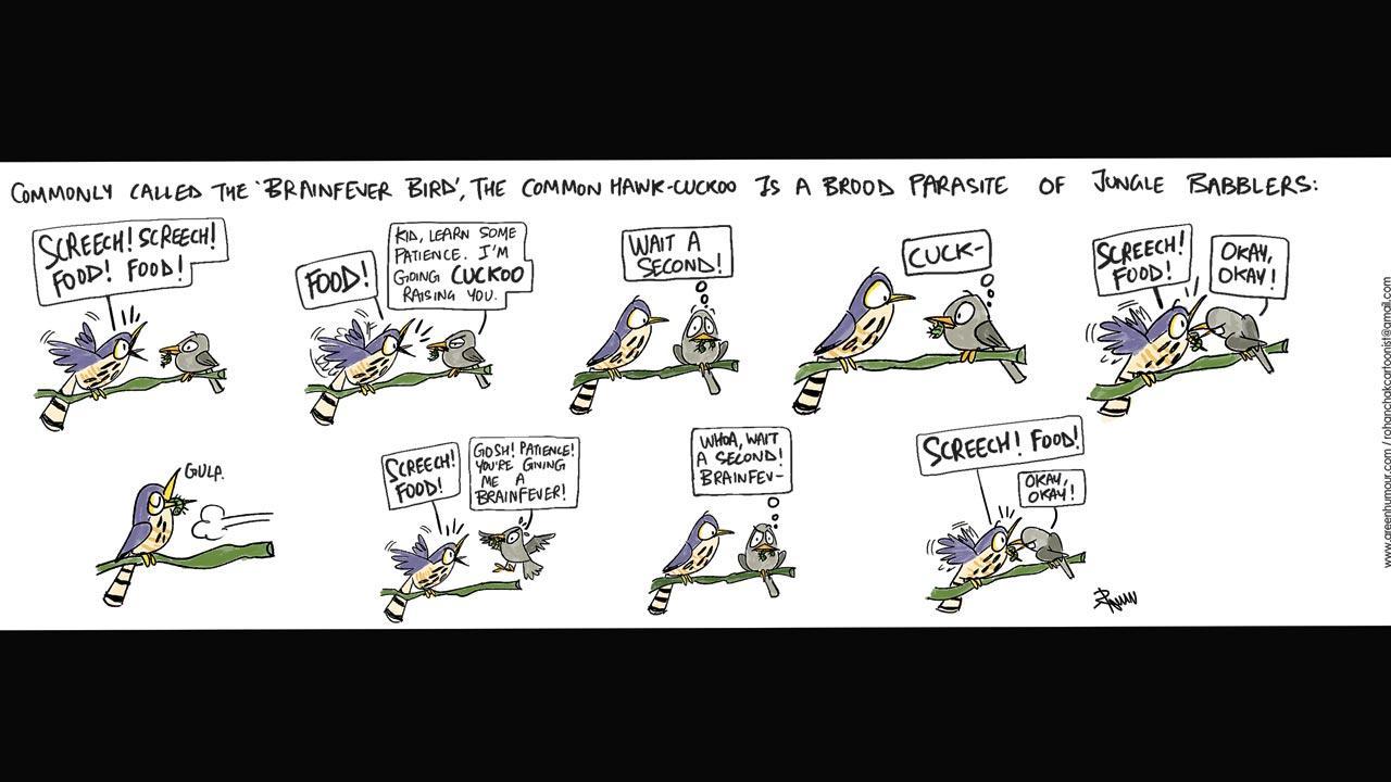 Green Humour: Comic Strip By Rohan Chakravarty