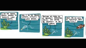 Green Humour: Comic Strip By Rohan Chakravarty