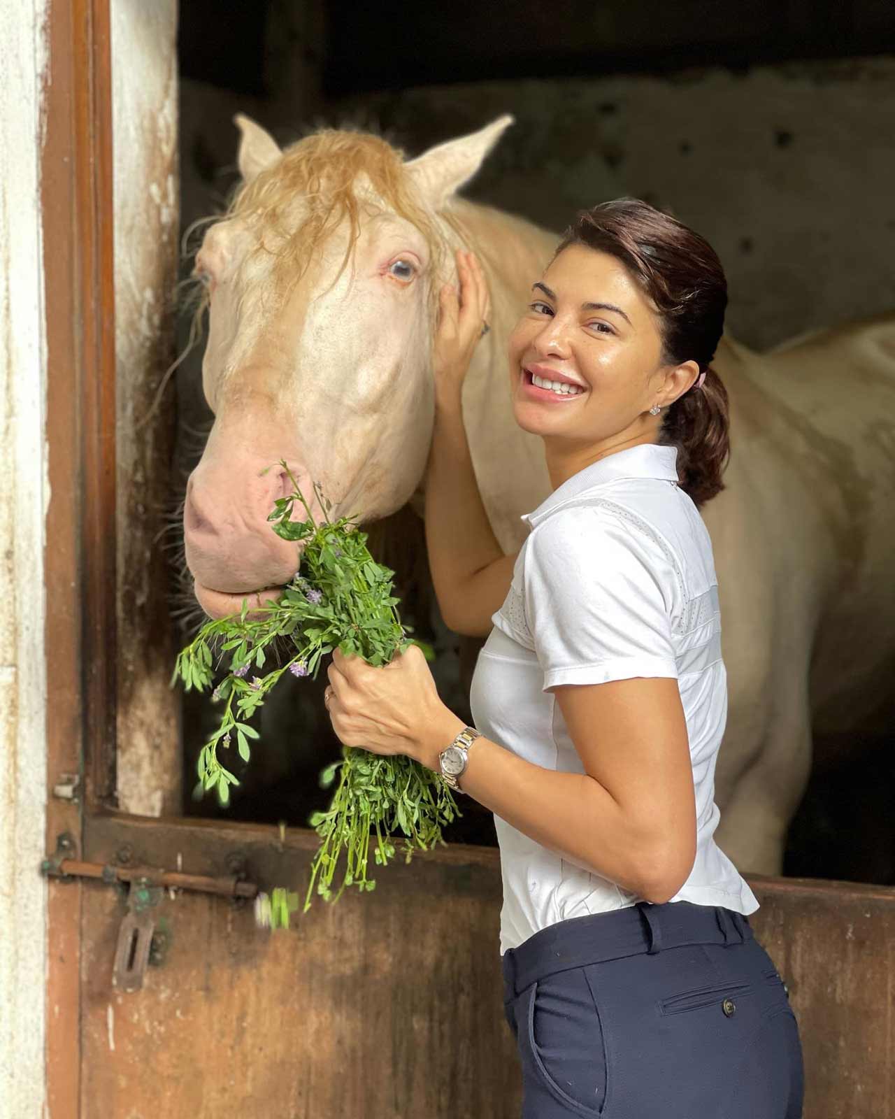 Jacqueline Fernandez: She turned into a vegan so as to do her bit in protecting the environment and safeguarding her health. However, Fernandez, like several fitness enthusiasts, struggled to manage a meal plan that eliminates eggs. Jacqueline said, 