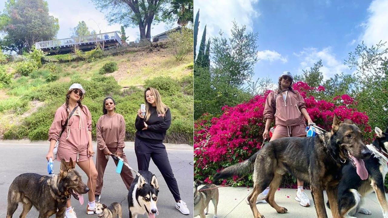 Priyanka Chopra stuns on streets of LA, enjoys with her 'girls and pups'