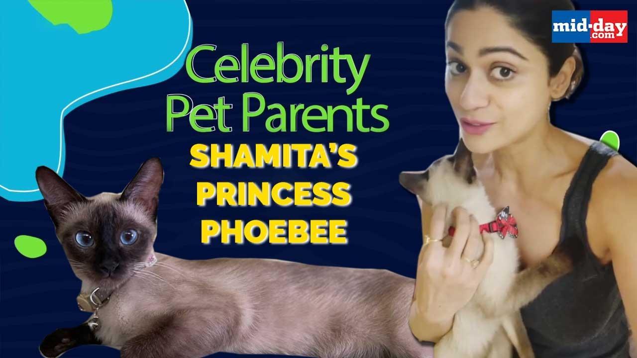  Shamita Shetty: I'm Allergic To Cat Hair But Cant Live Without Cats