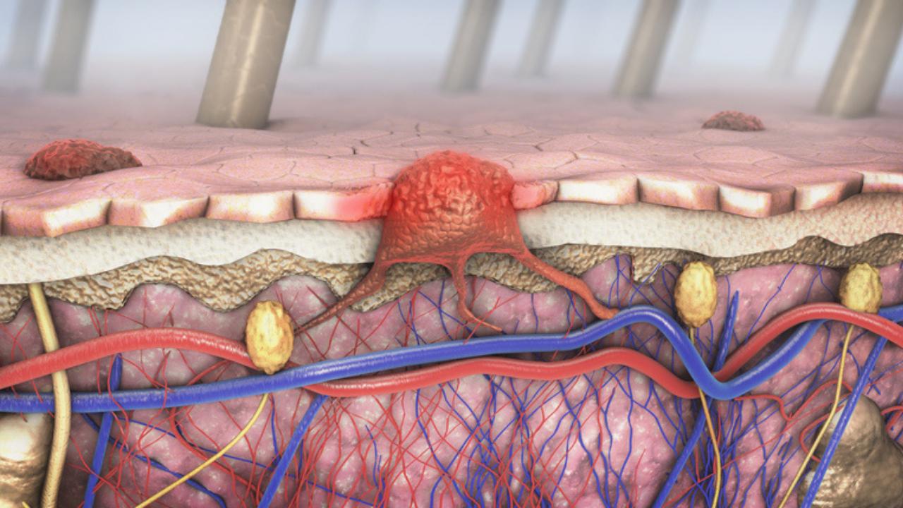 Ageing human skin cells can be reversed by 30 years without losing special functions: Study