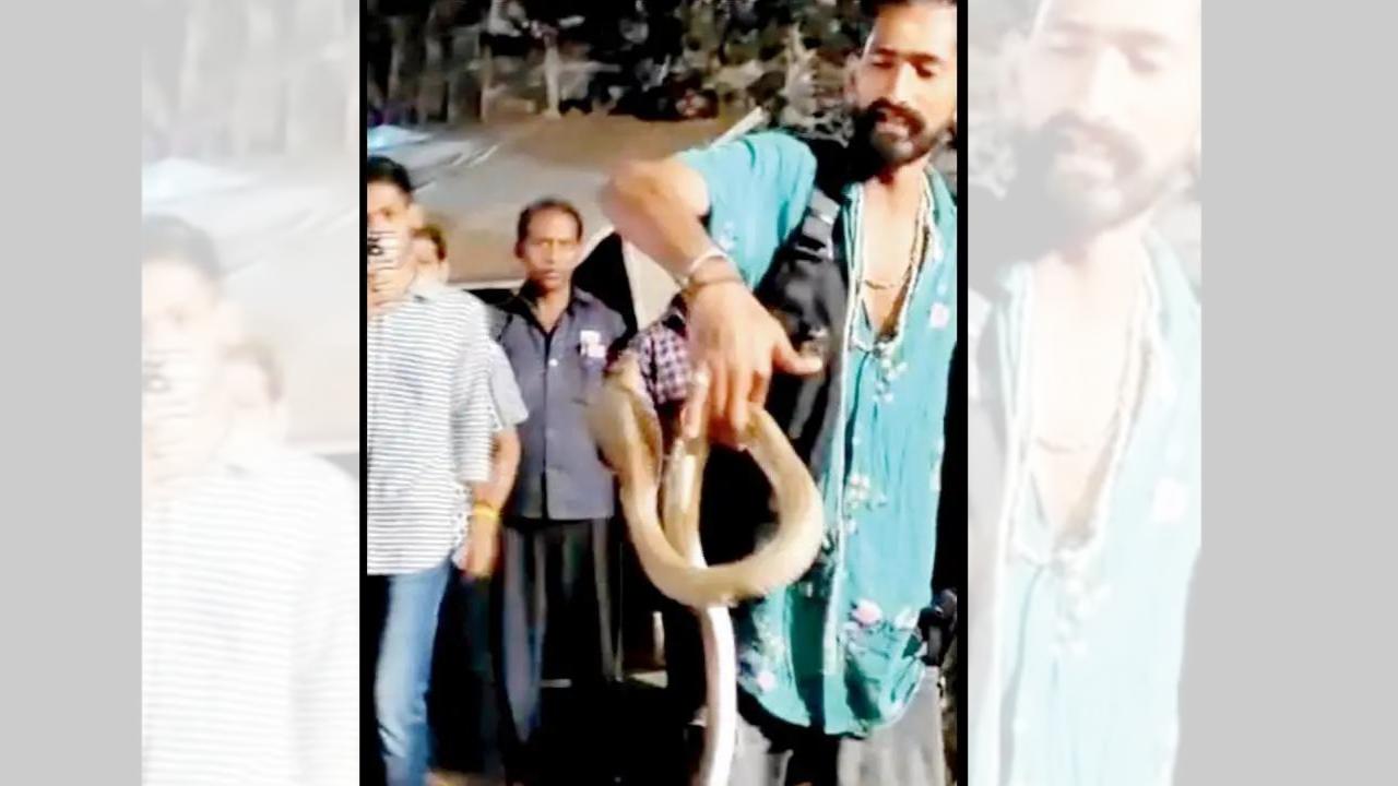 Snake rescuer’s viral video of him free handling snake lands him in trouble