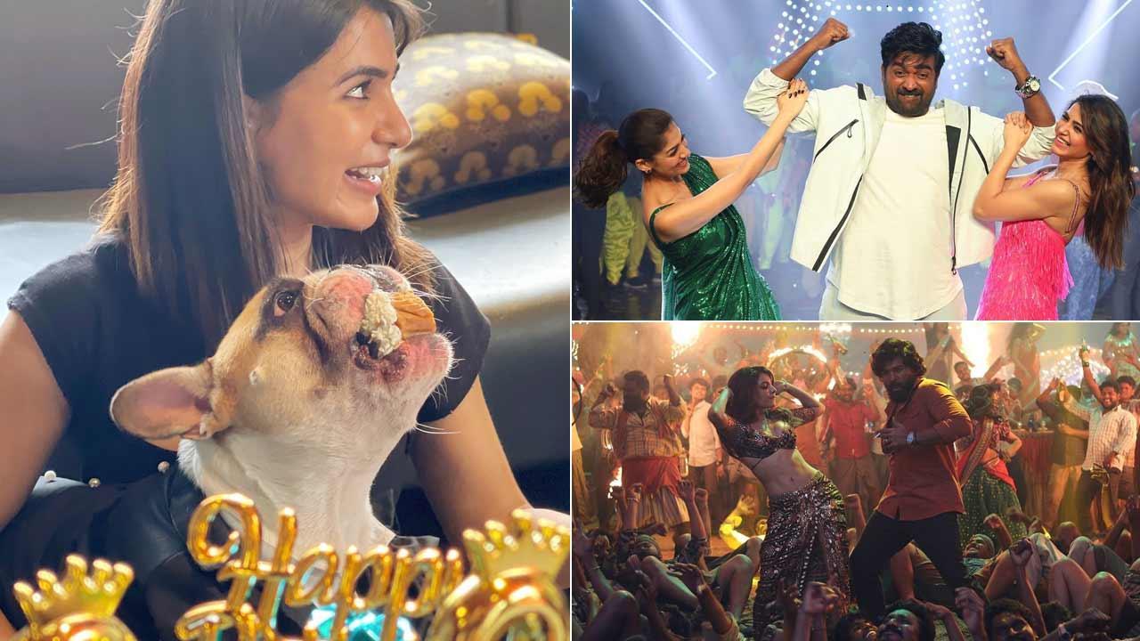 A collage of Samantha Ruth Prabhu's personal life