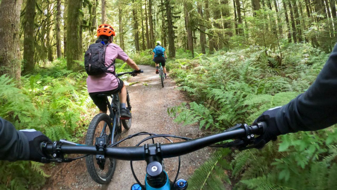 94 percent of Indian travelers say sustainable travel is important for them: Report