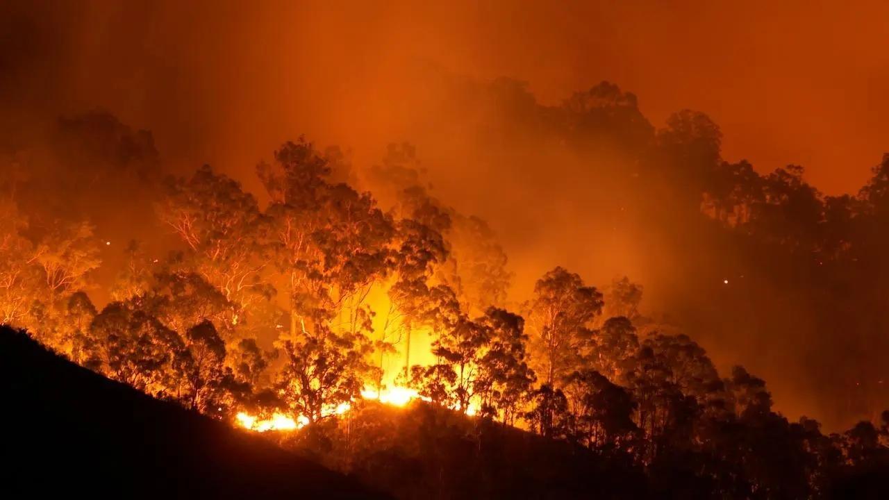 US: 2 dead, more than 200 homes charred in New Mexico wildfire