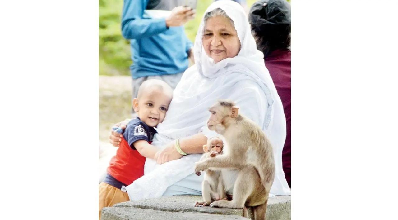 Monkey Business: A child and their grandmother keenly observe a monkey and its baby at Kanheri Caves in Sanjay Gandhi National Park, Borivali, on Tuesday. Pic/Satej Shinde