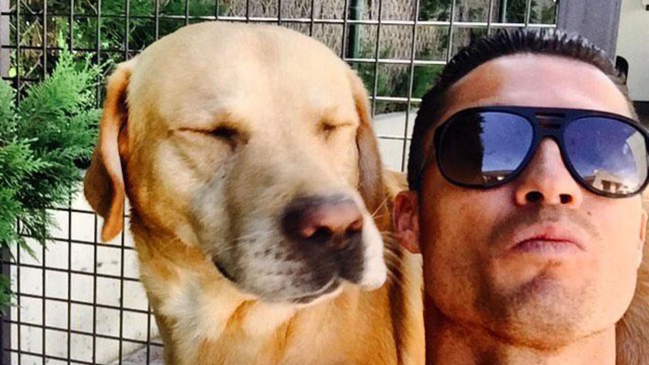 Manchester United forward Cristiano Ronaldo posing a selfie with his pet dog