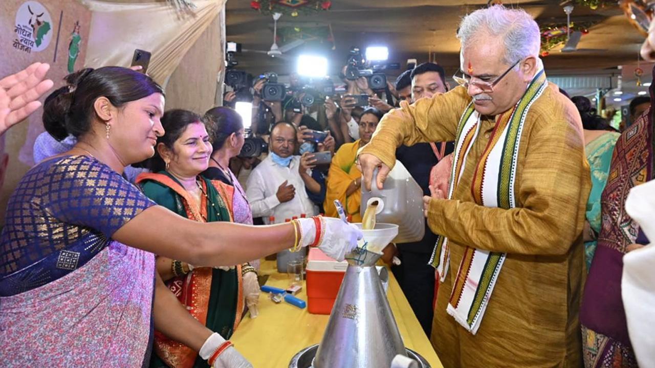 Chhattisgarh is the first state in the country to procure Gaumutra,Chief Minister commenced the procurement of Gaumutra in the state, on the occasion of Hareli Tihaar.