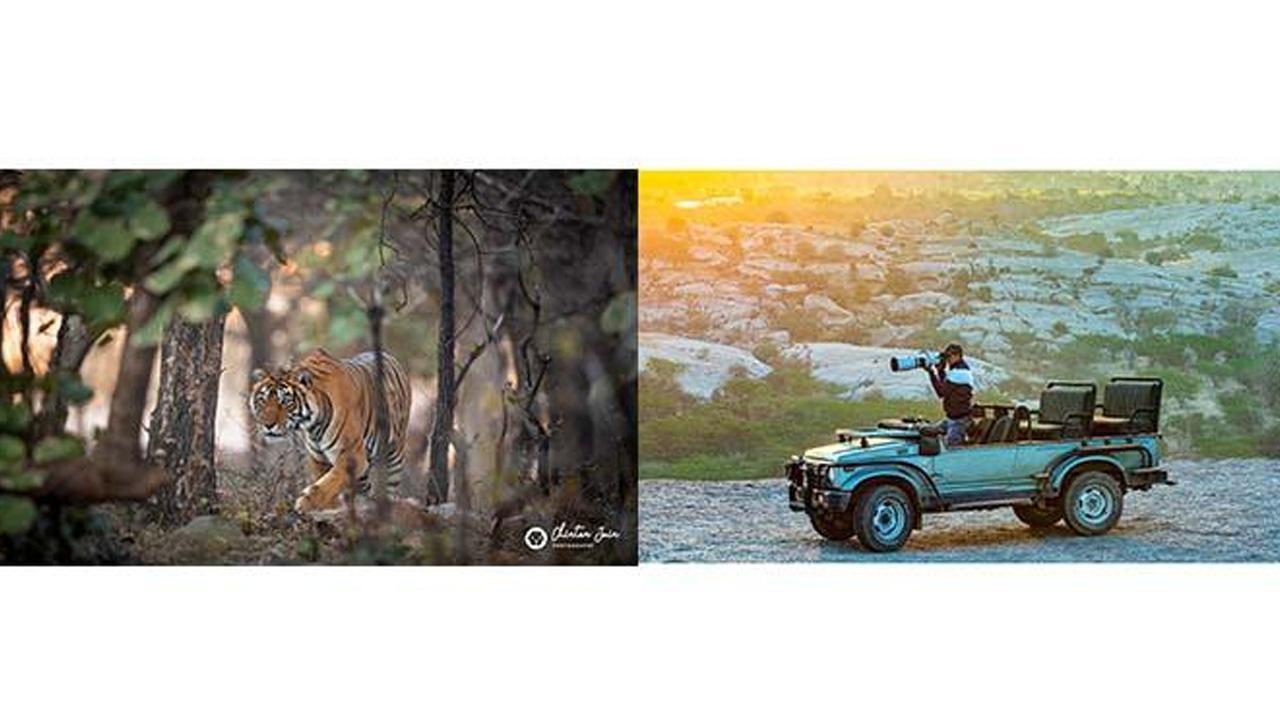 Capture the essence of nature with the lens of emerging photographer Chintan Jain