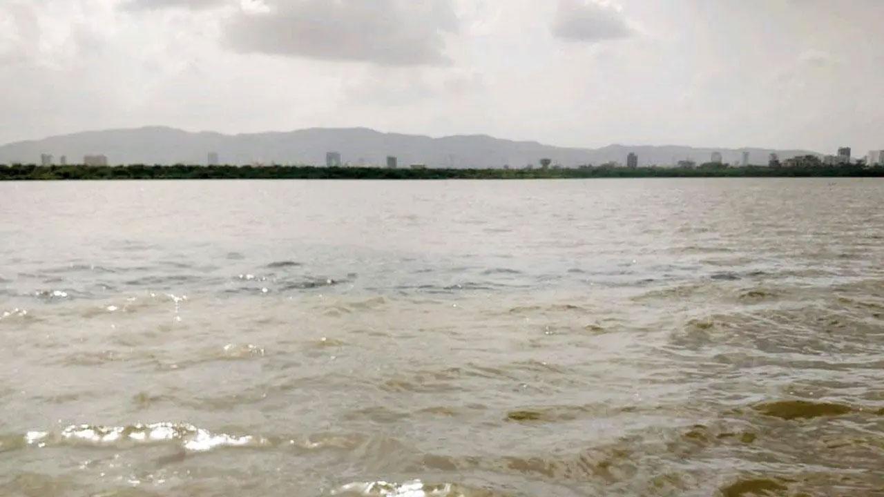 Mumbai: Nalasopara woman rescued 7 hrs after falling into a creek