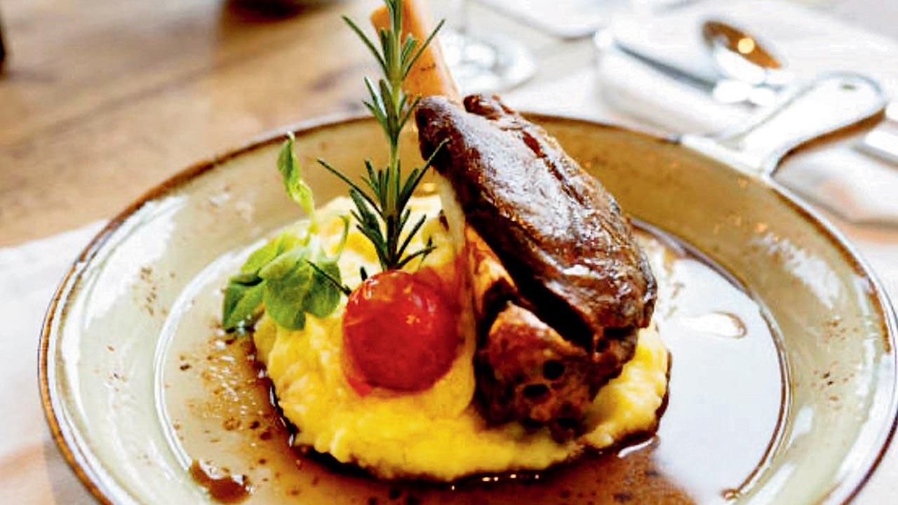 Lamb shanks