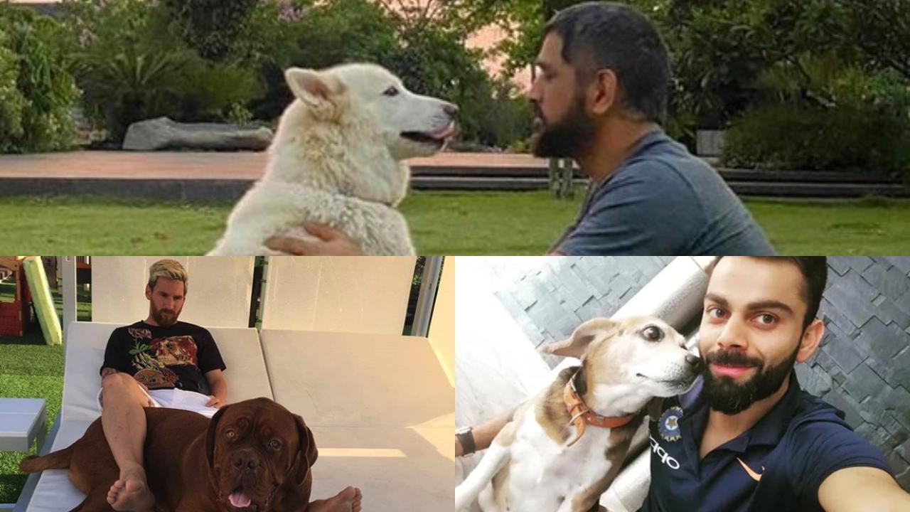 A collage of sports stars with their favourite furry friends. Photos/Twitter and Instagram