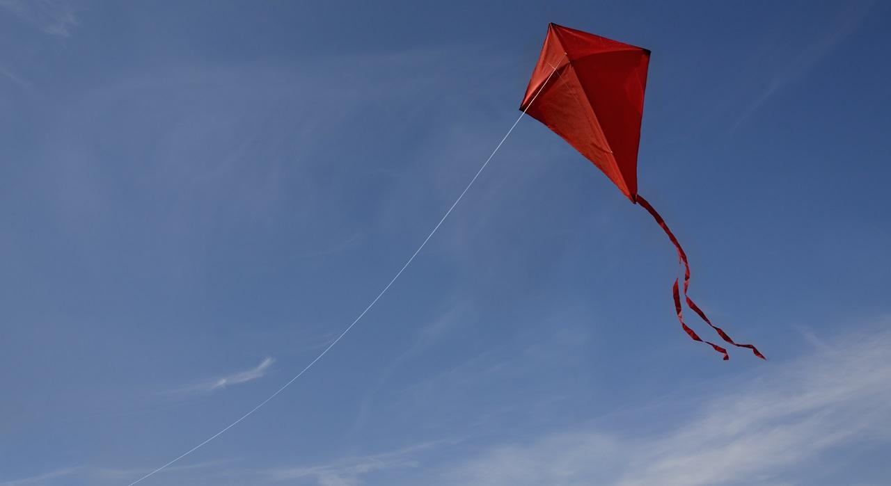 Delhi HC refuses to ban kite flying, police to ensure compliance of order banning sale of Chinese manjha