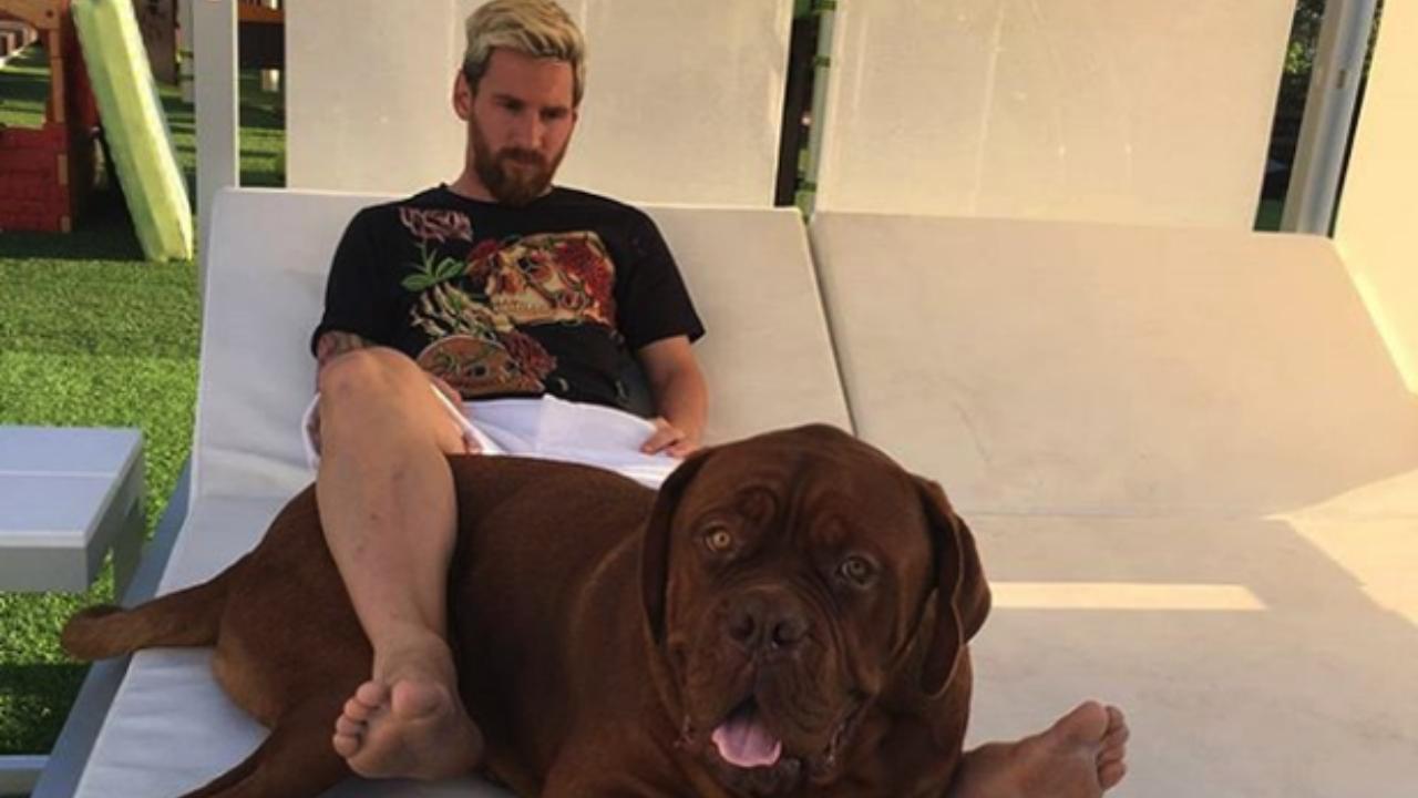 PSG forward and Argentine superstar Lionel Messi posing with his furry friend named 'Hulk'