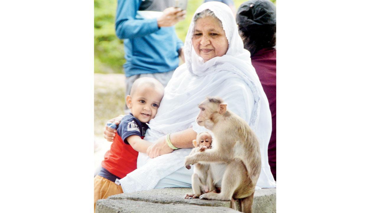 Mumbai Diary: Wednesday Dossier