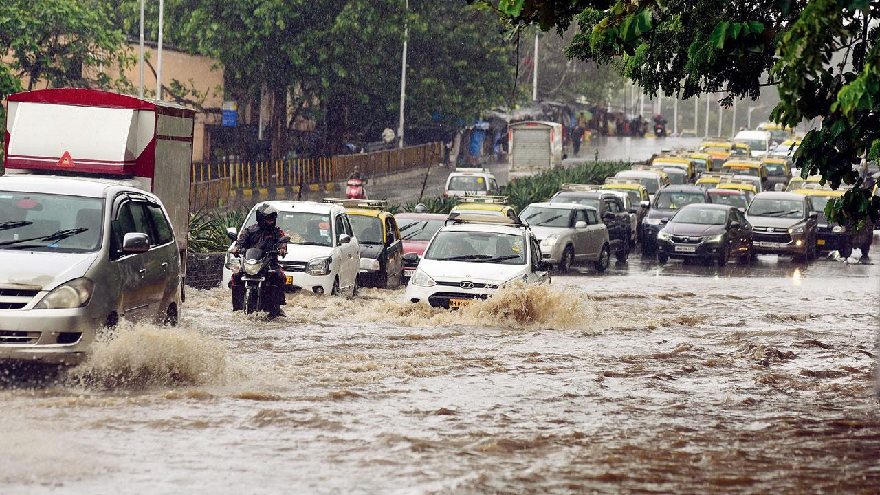 Mumbai: BMC plans to construct absorption pits for flooded city roads