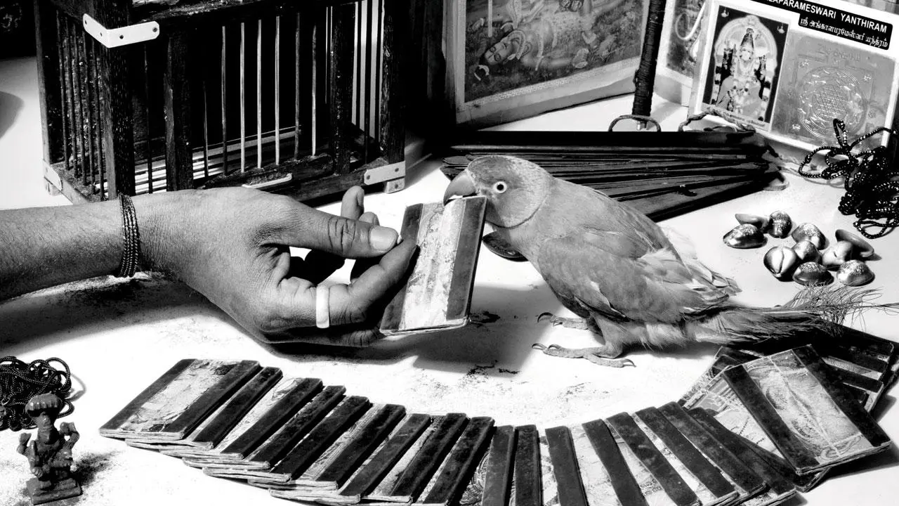 Asha Thadani's new photo exhibition delves into the relationship we share with animals