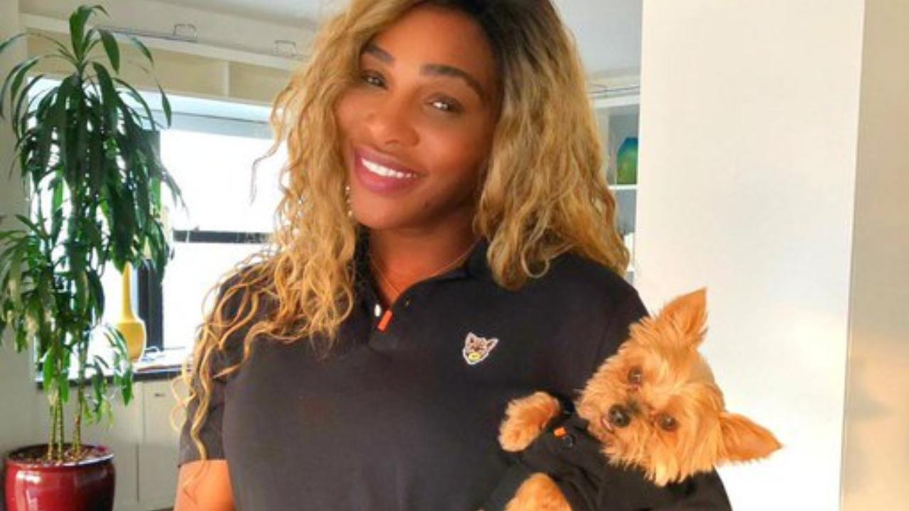 Tennis star Serena Williams with her pet dog, Chip