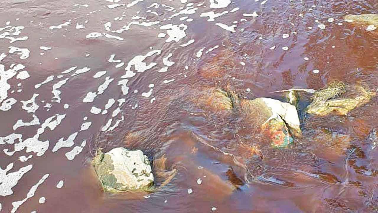 Mumbai: Are Ulhasnagar residents drinking toxic water?