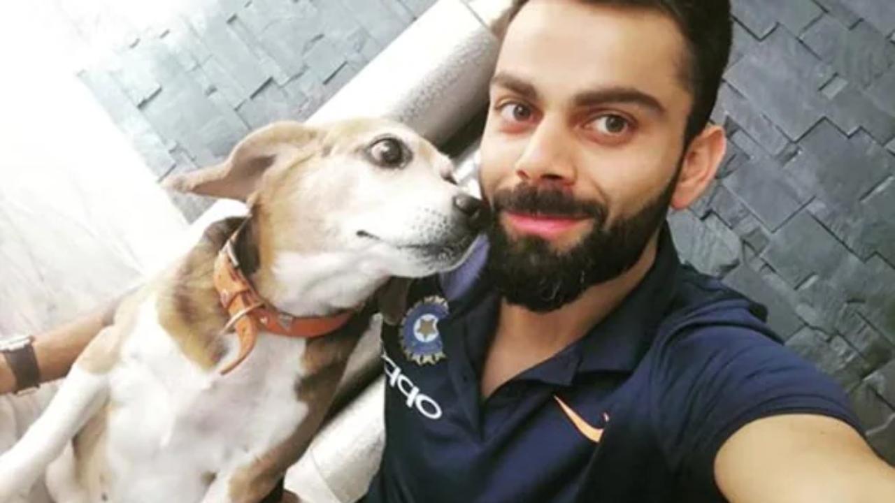 Virat Kohli with is pet dog Bruno who sadly passed away