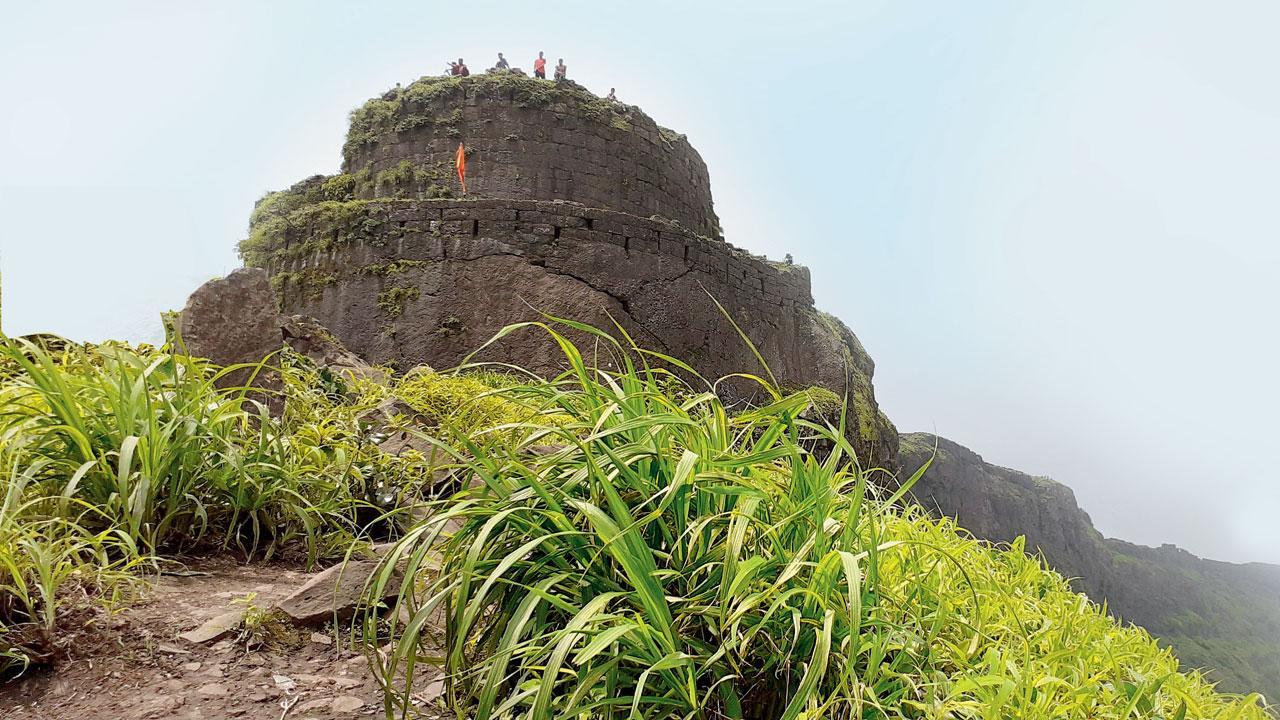 Three trips to sign up for this monsoon
