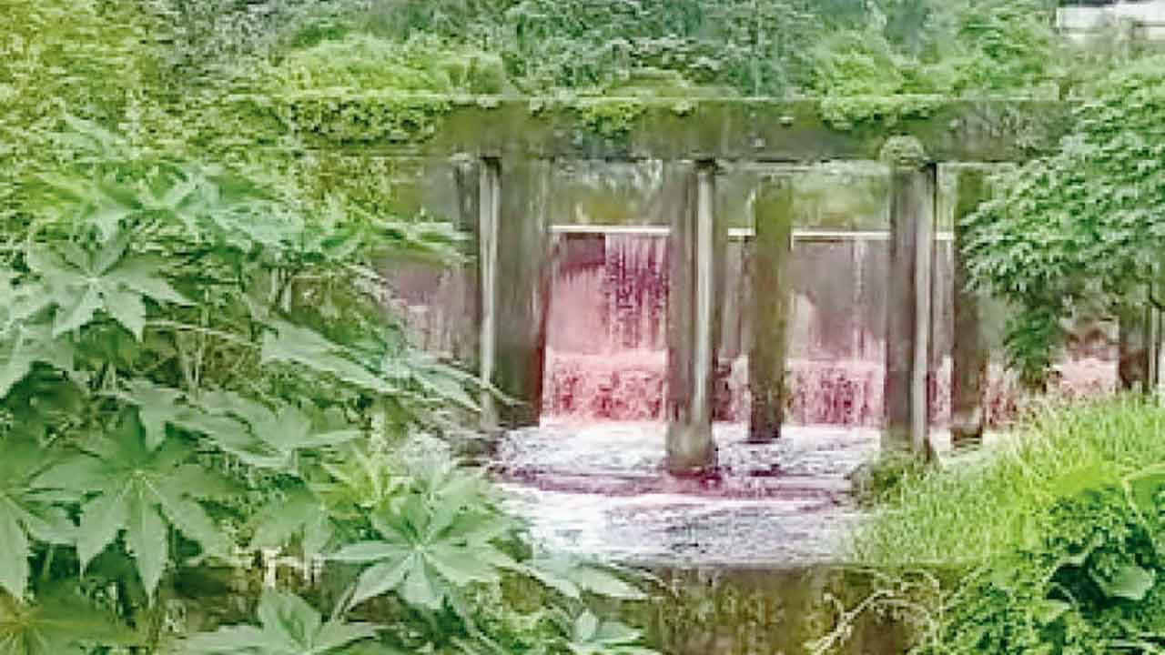 Polluted waters of the Ulhas