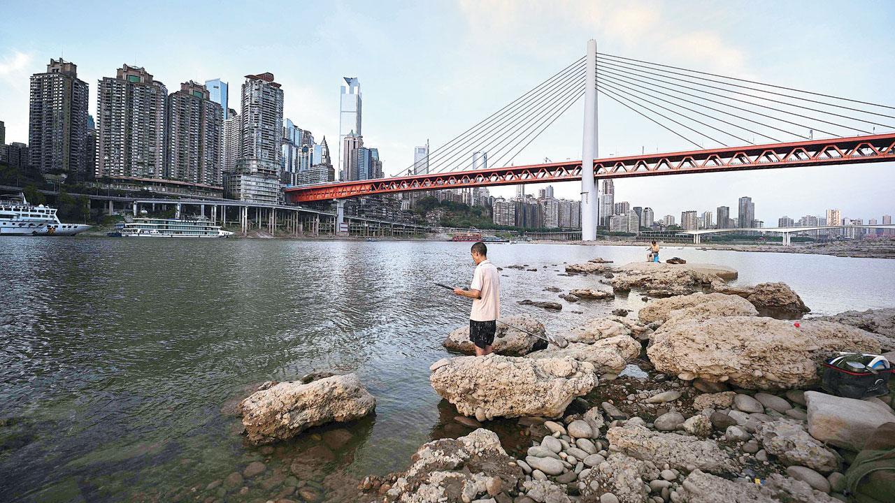 China faces heatwave havoc on power, crops and livestock