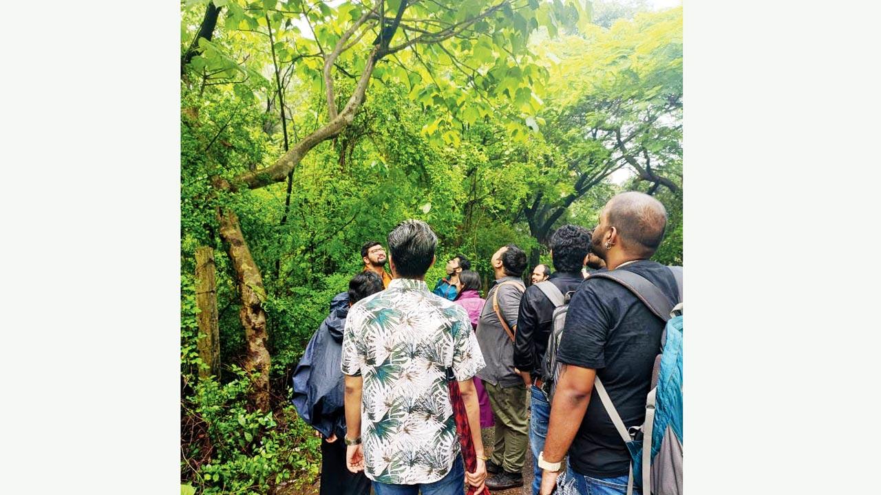 Participants at a  nature trail organised  by Prem-a-Culture