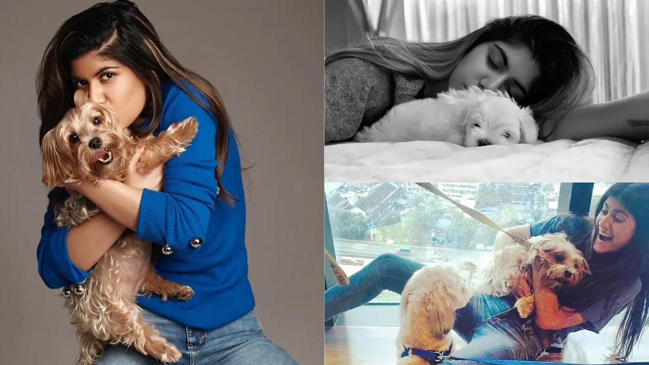 International Dog Day: These pictures of Ananya Birla 'paw-dorable'