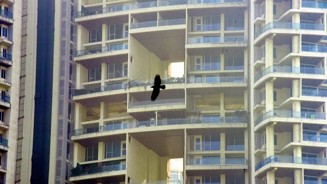Winging it: A crow is snapped mid-flight as it hovers across a high-rise in Lalbaug. Pic/Atul Kamble