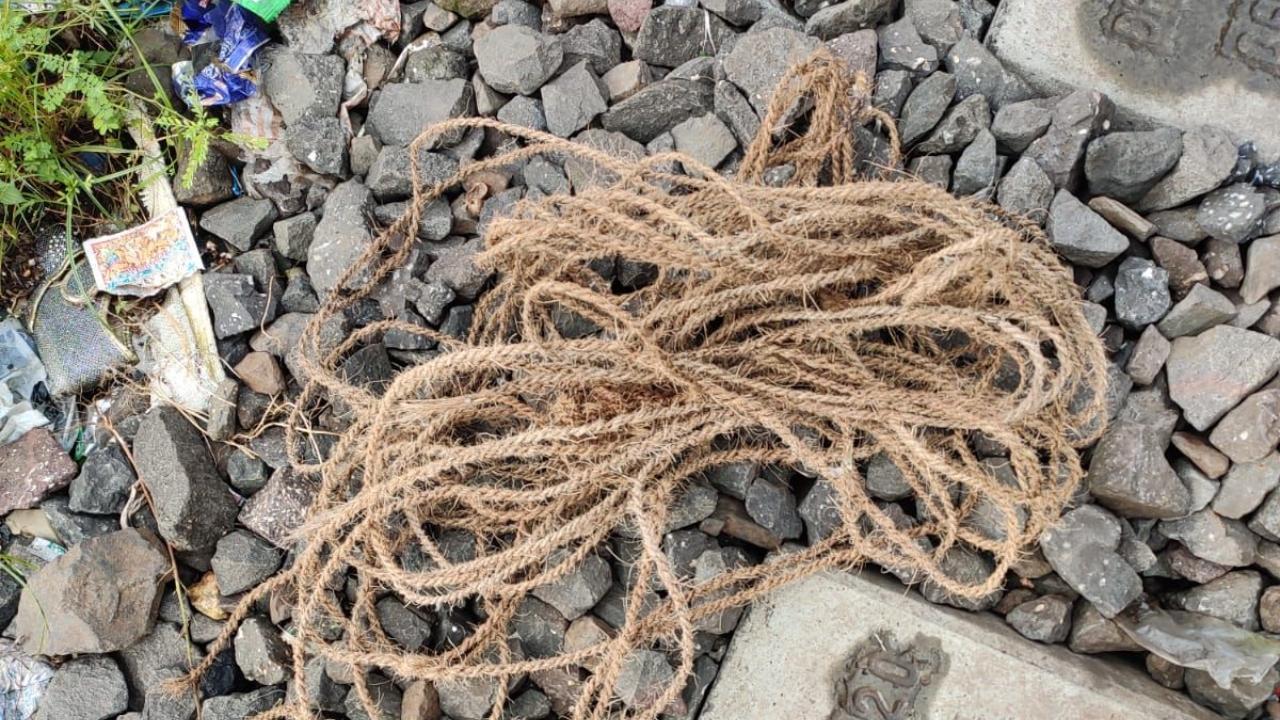 Coil of rope holds up harbour line services
