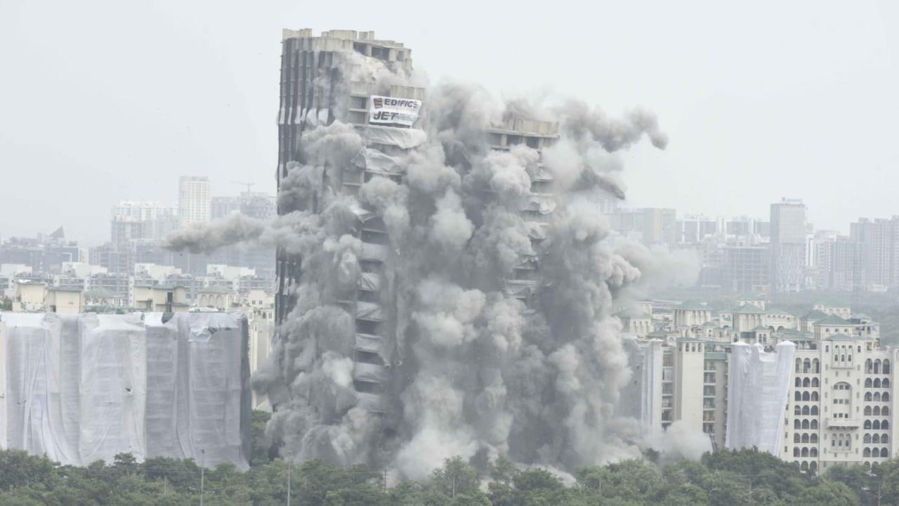 Conservationists fear birds killed in Noida twin towers' demolition