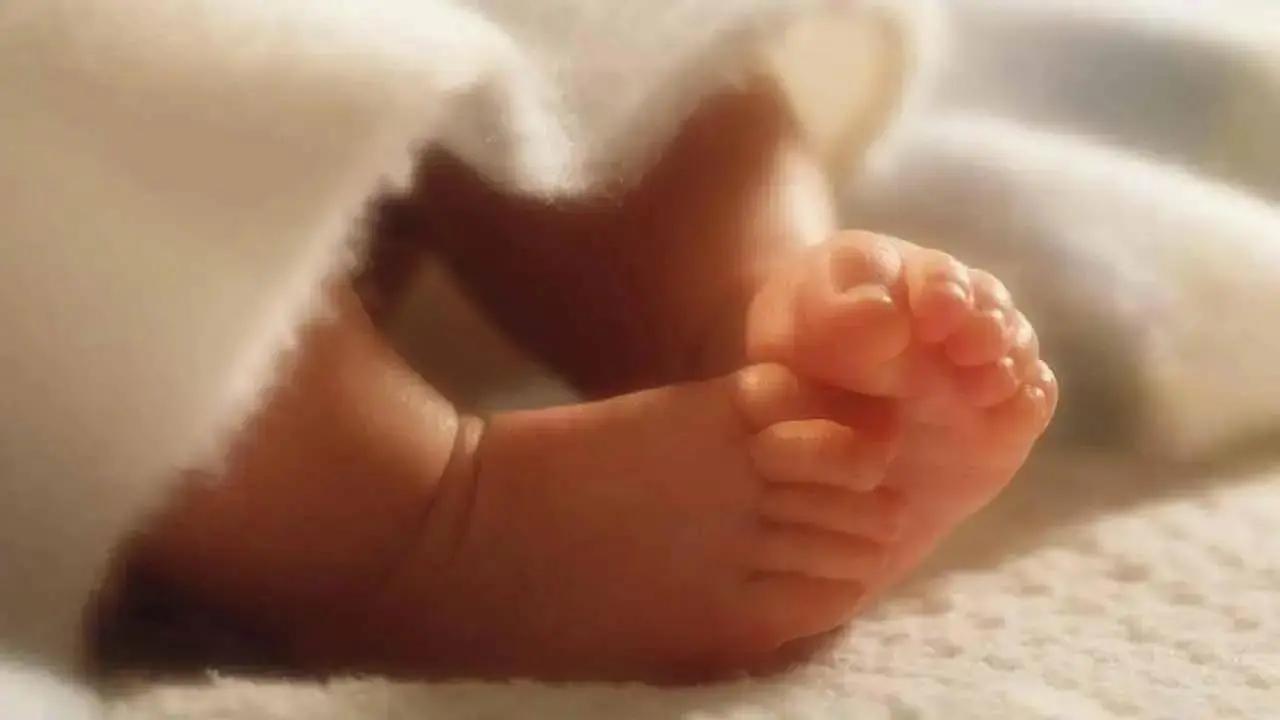 Family alleges baby's face eaten by animal; DM orders probe