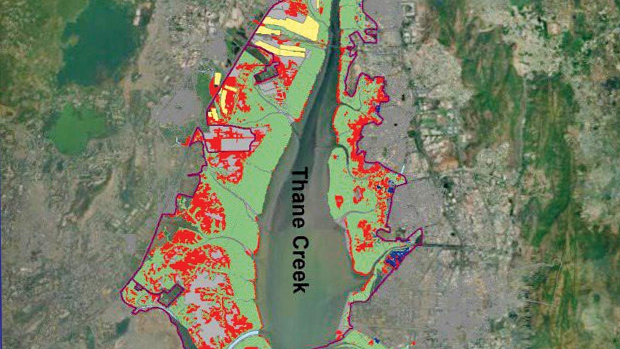 Map showing the Thane creek; the red outline depicts the boundary of the Ramsar site