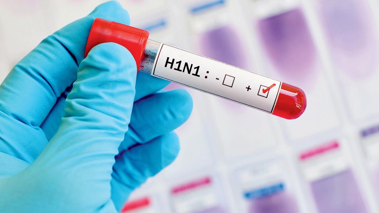 Mumbai has reported 64 cases of swine flu in the past two months. Representation pic