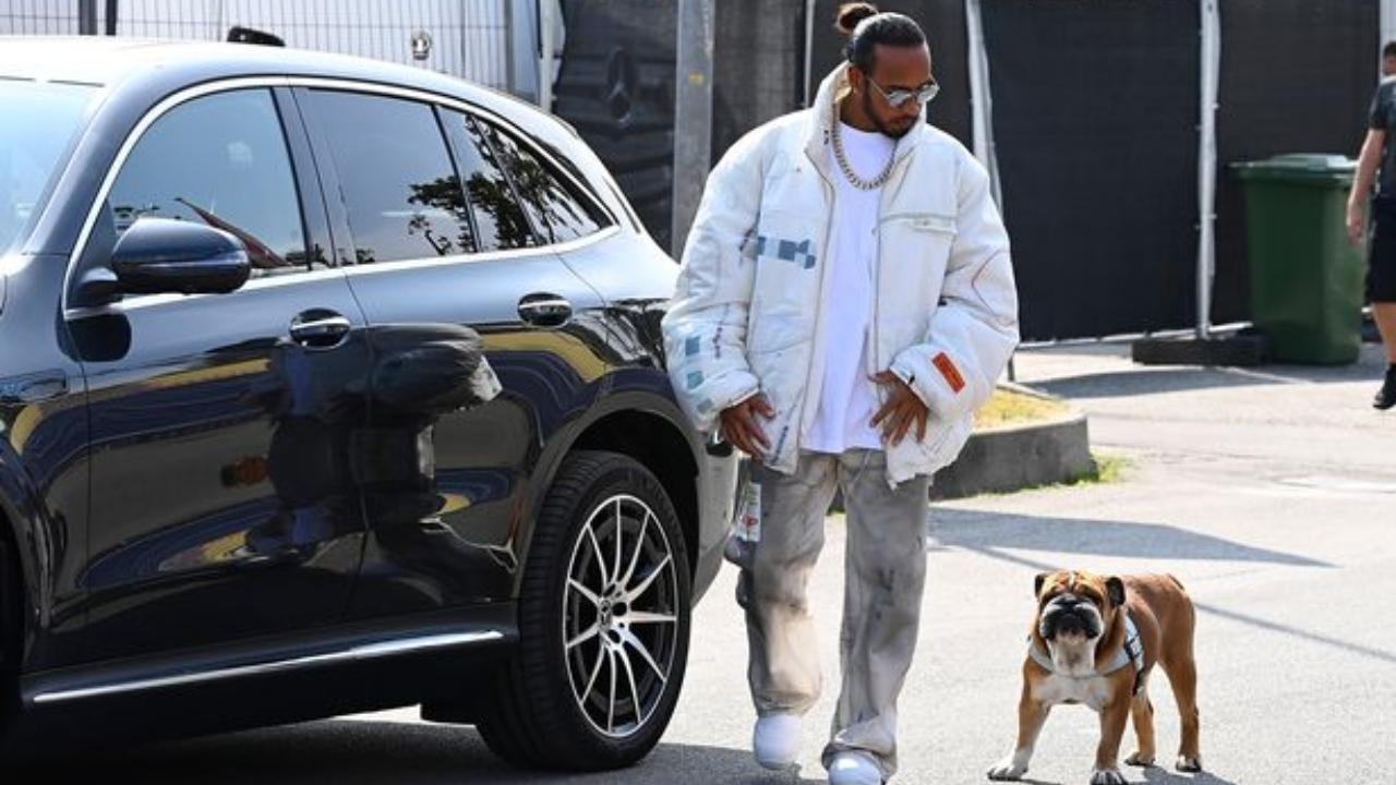 F1 star Lewis Hamilton seen here with his dog Roscoe