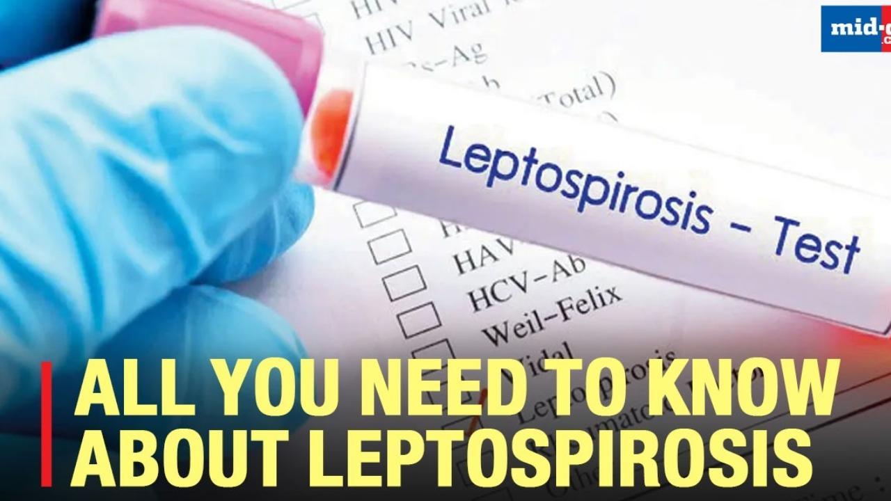 With Leptospirosis Cases On The Rise, Here’s Everything To Know About it
