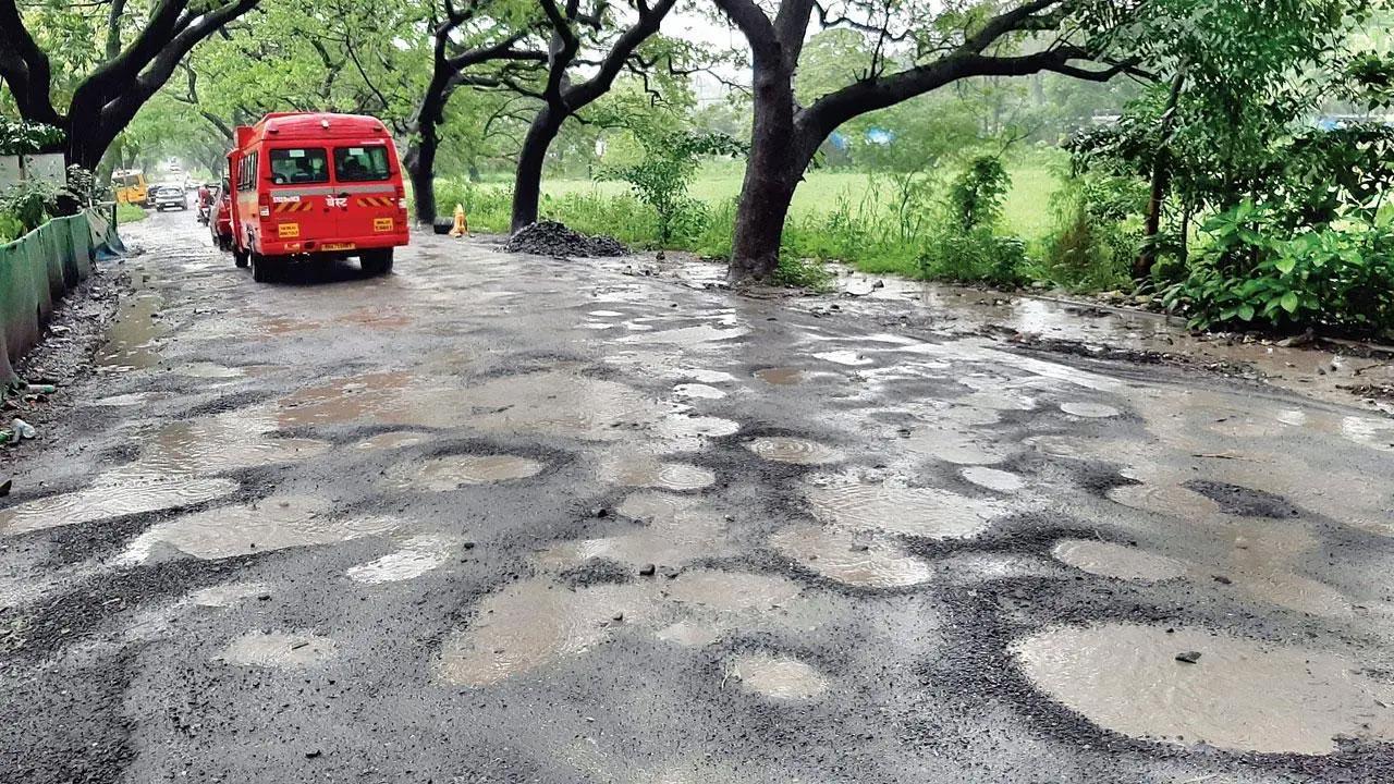 Take care, potholes can be a pain in the neck!